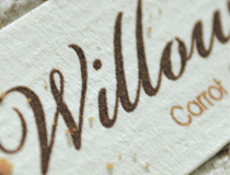 Willow